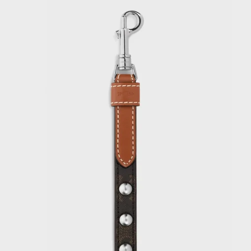 Adjustable Dog Leash in Triomphe Canvas and Calfskin with Studs