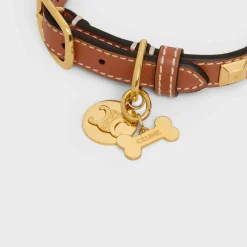 Bone dog medal in brass