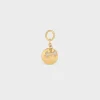 Bone strass plate dog medal in brass