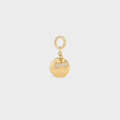 Bone strass plate dog medal in brass