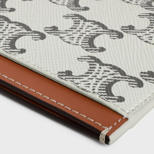 Card holder in Triomphe canvas AND calfskin