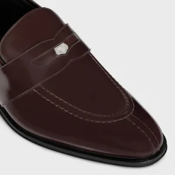 CELINE MALAQUAIS PENNY TRIOMPHE LOAFER in POLISHED BULL