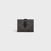 Fine Strap Wallet in Triomphe Canvas and Lambskin