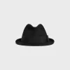 HAT IN FELT