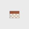 LARGE CARD HOLDER in Triomphe Canvas and calfskin