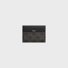 LARGE CARD HOLDER in TRIOMPHE CANVAS AND CALFSKIN
