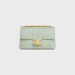 Medium Celine Victoire Bag in PYTHON