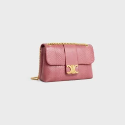 Medium Celine Victoire Bag in PYTHON