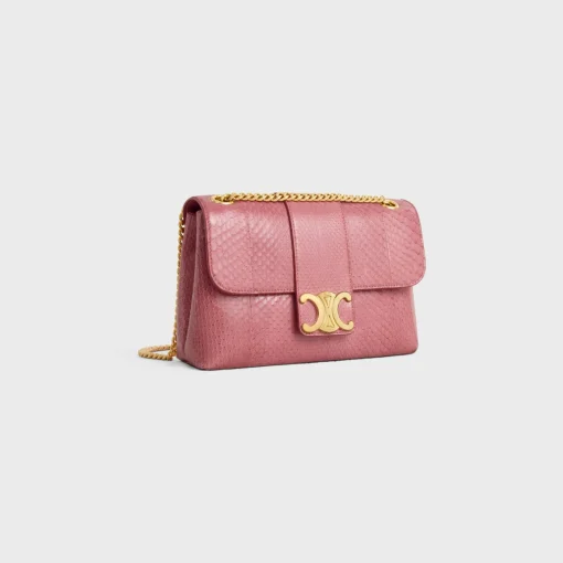 Medium Celine Victoire Bag in PYTHON