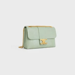 Medium Celine Victoire Bag in PYTHON