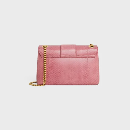 Medium Celine Victoire Bag in PYTHON