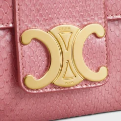 Medium Celine Victoire Bag in PYTHON