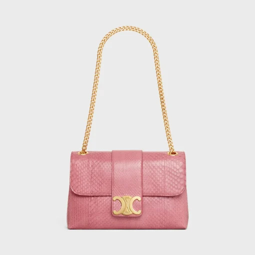 Medium Celine Victoire Bag in PYTHON