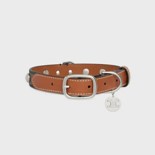 Medium Large Dog Collar in Triomphe Canvas and Calfskin with Studs