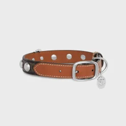 Medium Large Dog Collar in Triomphe Canvas and Calfskin with Studs