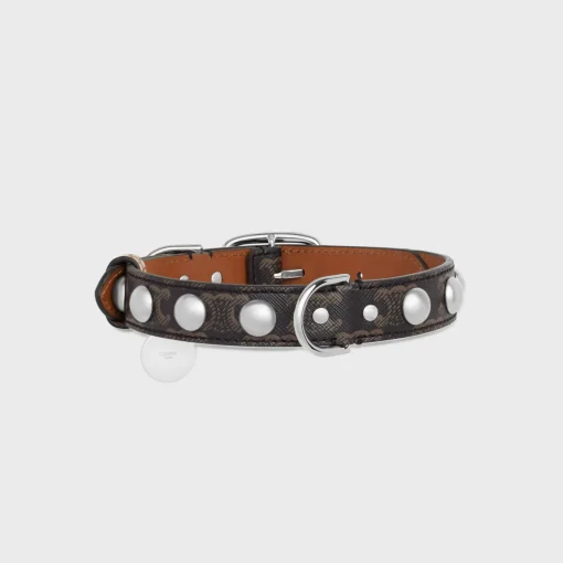 Medium Large Dog Collar in Triomphe Canvas and Calfskin with Studs