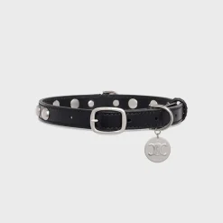 Medium Thin Dog Collar in Smooth Calfskin with Studs
