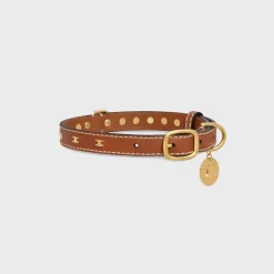 Medium Thin Dog Collar in Smooth Calfskin with Triomphe Studs