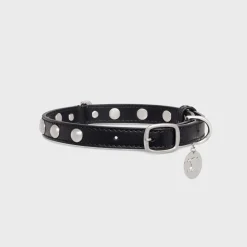 Medium Thin Dog Collar in Smooth Calfskin with Studs