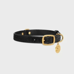 Medium thin dog collar in smooth calfskin with CELINE embossed