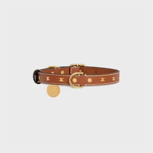 Medium Thin Dog Collar in Smooth Calfskin with Triomphe Studs