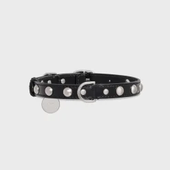 Medium Thin Dog Collar in Smooth Calfskin with Studs