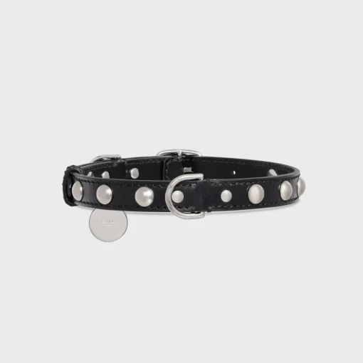 Medium Thin Dog Collar in Smooth Calfskin with Studs