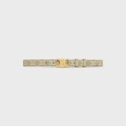Medium Triomphe Belt in Triomphe Canvas
