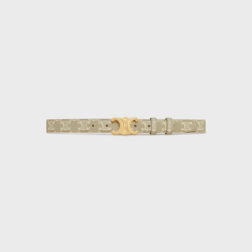 Medium Triomphe Belt in Triomphe Canvas