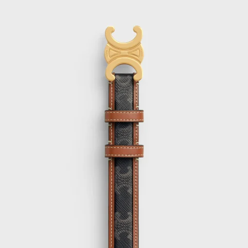 Medium Triomphe Belt in Triomphe Canvas and Calfskin