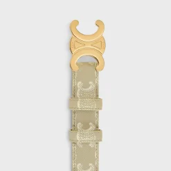 Medium Triomphe Belt in Triomphe Canvas