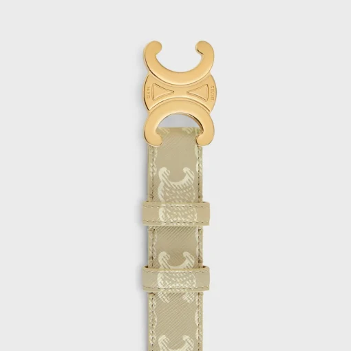 Medium Triomphe Belt in Triomphe Canvas
