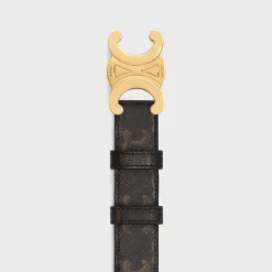 Medium Triomphe Belt in Triomphe Canvas