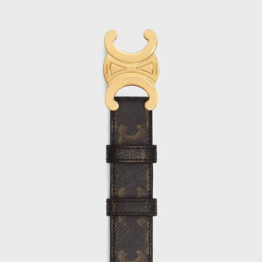 Medium Triomphe Belt in Triomphe Canvas