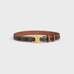 Medium Triomphe Belt in Triomphe Canvas and Calfskin