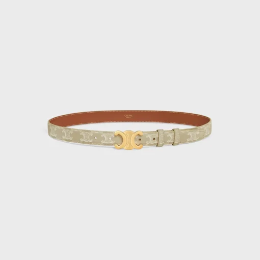 Medium Triomphe Belt in Triomphe Canvas