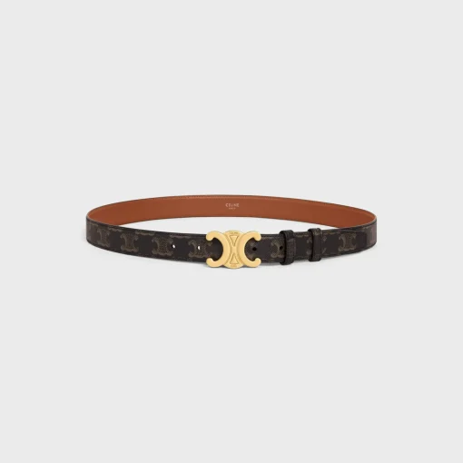 Medium Triomphe Belt in Triomphe Canvas