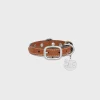 Nano Extra Thin Dog Collar in Triomphe Canvas and Calfskin with studs