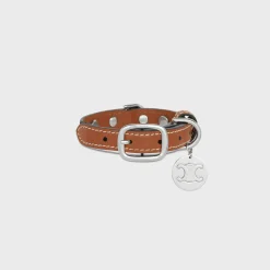 Nano Extra Thin Dog Collar in Triomphe Canvas and Calfskin with studs