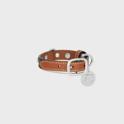 Nano Extra Thin Dog Collar in Triomphe Canvas and Calfskin with studs