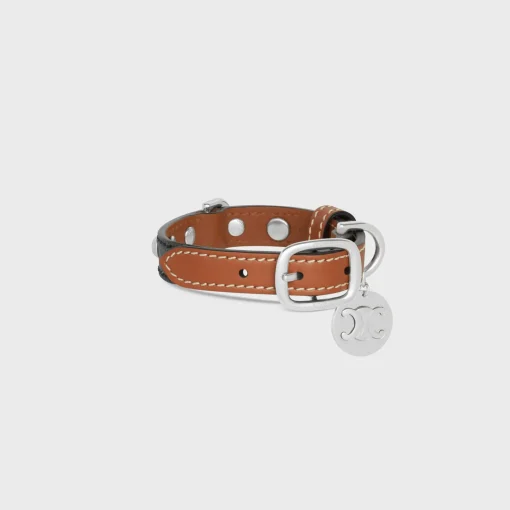 Nano Extra Thin Dog Collar in Triomphe Canvas and Calfskin with studs
