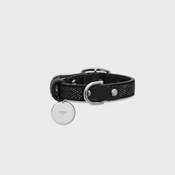 NANO EXTRA THIN DOG COLLAR IN SUEDE CALFSKIN WITH STRASS