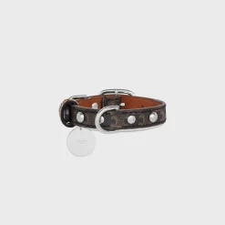 Nano Extra Thin Dog Collar in Triomphe Canvas and Calfskin with studs