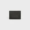 Pouch in Triomphe Canvas