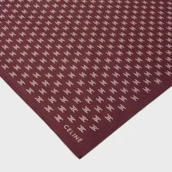 scarf in triomphe silk twill
