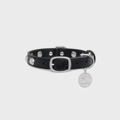 Small Thin Dog Collar in Smooth Calfskin with Studs