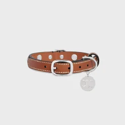 Small Thin Dog Collar in Triomphe Canvas & Calfskin with studs