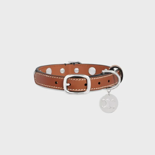 Small Thin Dog Collar in Triomphe Canvas & Calfskin with studs