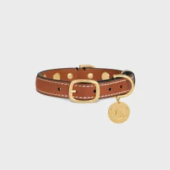 Small Thin Dog Collar in Triomphe Canvas & Calfskin with studs
