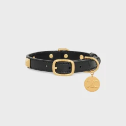 Small Thin Dog Collar in smooth Calfskin with pyramid studs